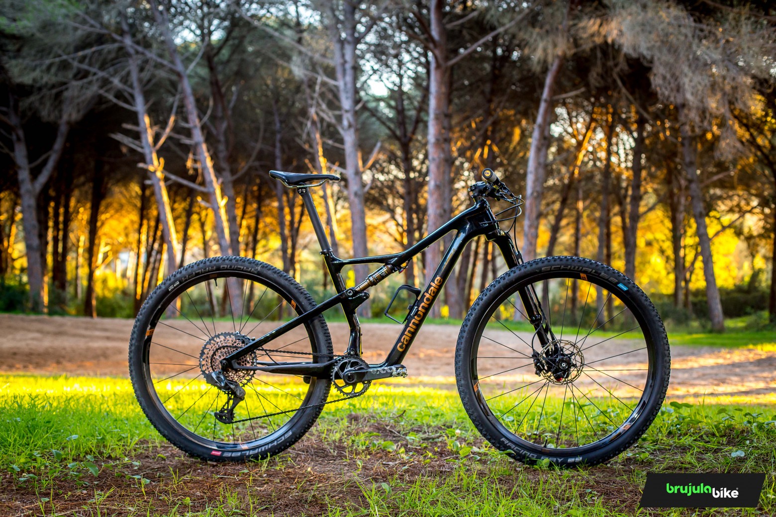 Cannondale Scalpel HiMOD Ultimate, we tested the crown jewel