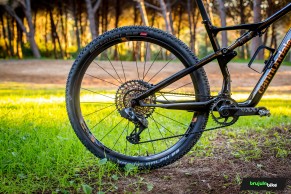 Cannondale Scalpel Hi-MOD Ultimate, we tested the crown jewel