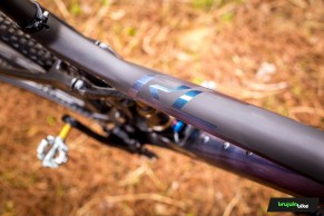 Testing the Scott Spark RC 900 SL AXS, a legendary mountain bike