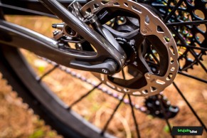 Testing the Scott Spark RC 900 SL AXS, a legendary mountain bike