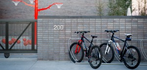 paraiso-mtb-betonville/