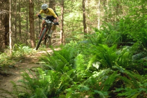 697814-SCOTT-SRAM_BCBR_2026_SCOTT_BIKE_PHOTO_BY_DaveSilverPhoto_0014-daae51-original-1788183379