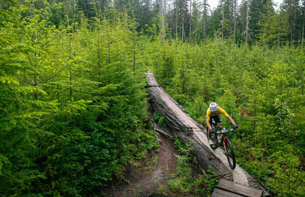 Nino Schurter gewinnt das BC Bike Race und sichert der neuen SCOTT Spark den ersten Sieg