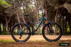 We test and compare three MTB top bikes: Specialized Epic vs Scott Spark vs Cannondale Scalpel
