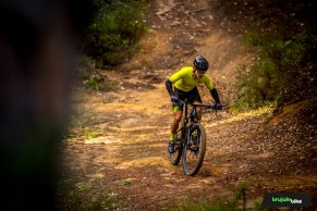 We test and compare three MTB top bikes: Specialized Epic vs Scott Spark vs Cannondale Scalpel