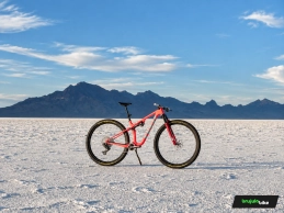 Trek-Projectone-32-Brujula Bike
