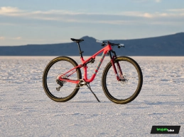 Trek Brujula Bike 32