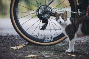 sram-red-etap-axs-max-36t/