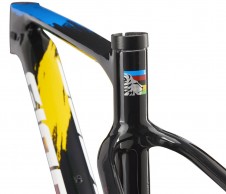 Edición limitada World Champion del Giant XTC Advanced SL 29