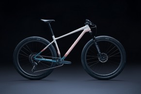 specialized-chisel-ltd-2021/