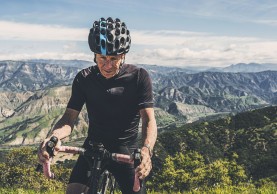 teoria-gobernador-central-control-fatiga/