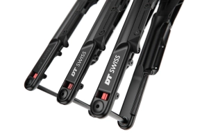 dt swiss f 132 offset.jpg