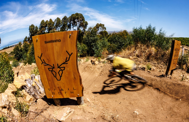 10 Jahre und 10 Millionen Dollar: Shimano beschleunigt und erweitert sein Projekt zur Schaffung von MTB-Strecken