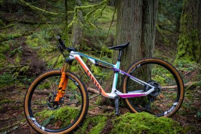 Emily Batty's colourful new Canyon Lux CF for 2021 in detail