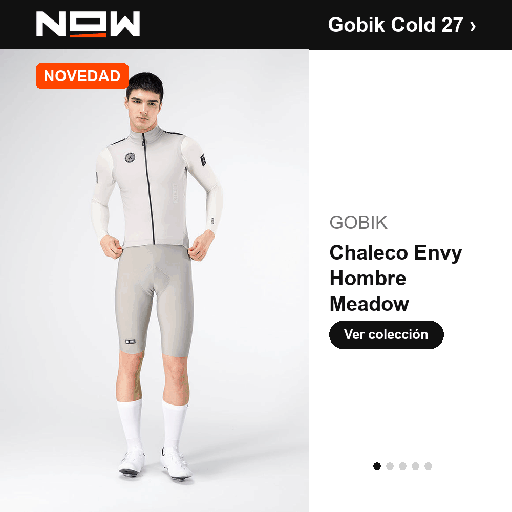 Now Bikes Gobik