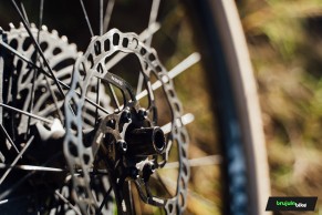 Por frenada, estética y precio, estos discos y pastillas Galfer se acaban de ganar un sitio en nuestra lista de la compra