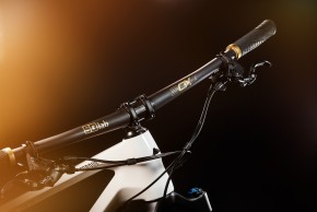 canyon-torque-cf-edicion-limitada-fabio-wibmer/