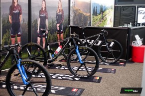 ghost-lector-fs-anne-terpstra/