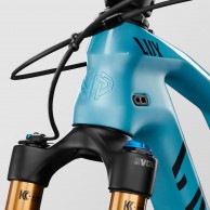 Limited edition of Mathieu Van der Poel's Canyon Lux CF SLX for sale