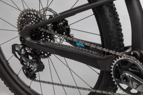 santa-cruz-blur-2021/