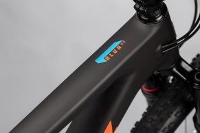 santa-cruz-blur-2021/