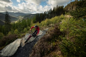 santa-cruz-bronson-4-mx-2022/