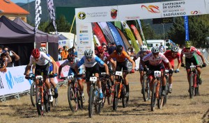 Andalucía se proclama campeona de España Team Relay 2021