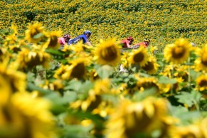 resumen-resultados-etapa-19-tour-francia-2021/