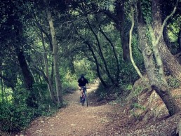 Florian Vogel se sube a una 26 pulgadas: "El MTB de los 90 era diferente, puro y realmente más bacheado"