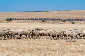 vuelta-espana-2021-etapa-13/