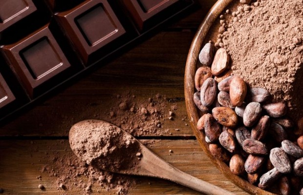 5 alimentos ricos em gordura que te beneficiam