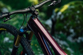 The Orbea Occam 2022 has a new linkage and is available in two versions