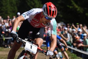 campeón del mundo, campeona del mundo