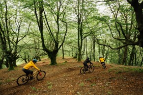 Uma nova trilha de Trail Tales revela a incrível história de Albaola