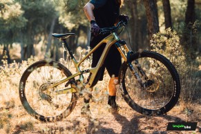 We test the Cannondale Jekyll 2022. See you at the bottom!