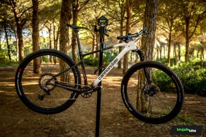 We test the Cannondale Scalpel HT, the first new generation hardtail