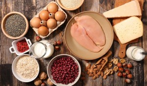 Proteína animal vs vegetal ¿qué diferencias hay? ¿cuál es mejor?