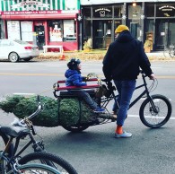 Carrying the Christmas tree on a bike is becoming a trend, how to do it?