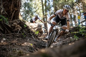 Anton Cooper é atropelado e sofre uma fratura do escafoide