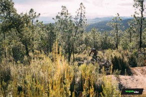 Probamos a fondo la Scott Patron eRide, la primera ebike con integración total