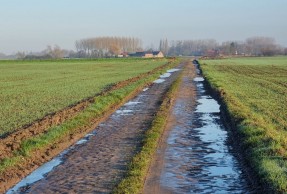 París-Roubaix pavés