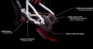 Biktrix transmisión