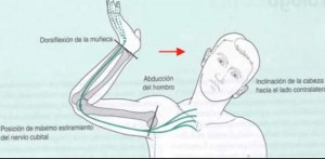 Estiramiento nervio cubital