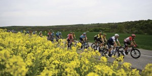 Van der Poel's talent wins the first race of the Giro and takes the pink jersey