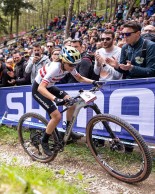 The 10 bikes that made the podium at the World Cup in Albstadt