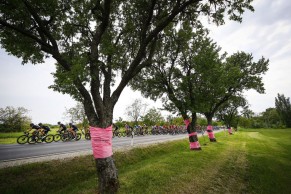 Las imágenes más curiosas de la primera semana del Giro de Italia