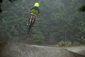 santa cruz nomad niño