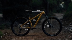 Orbea Laufey: an affordable trail with high-end fun