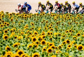 Os treinamentos dos profissionais para se preparar para o Tour de France 2022