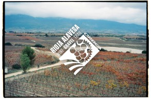 Llega la primera edición de la Orbea Gravel Rioja Alavesa: más que una carrera